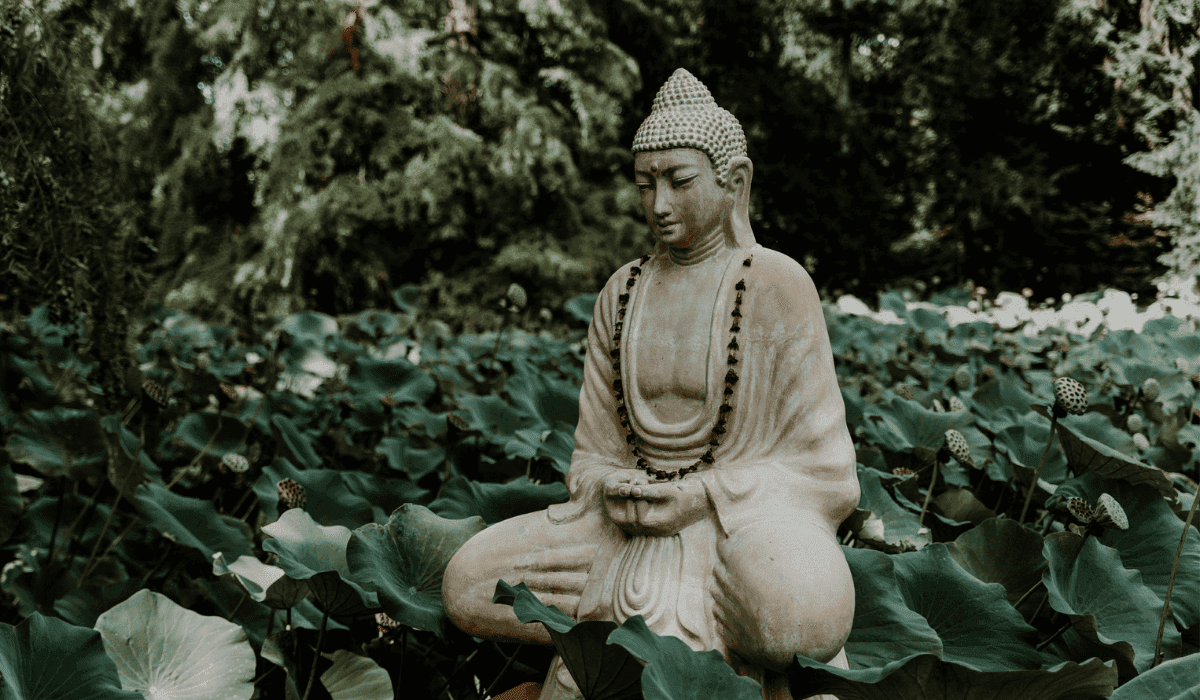 BUDDHA PURNIMA