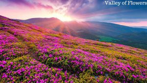 Top 10 Trekking Places in India