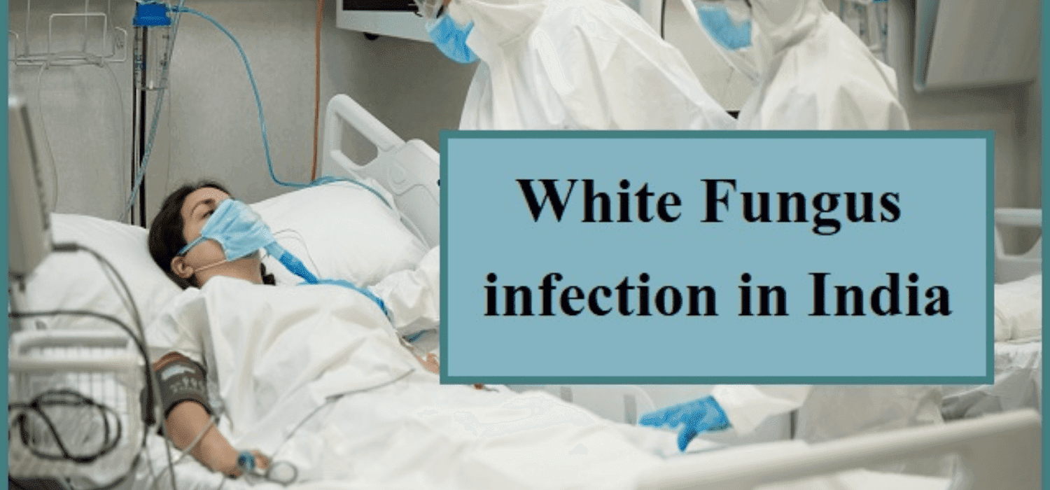white fungus