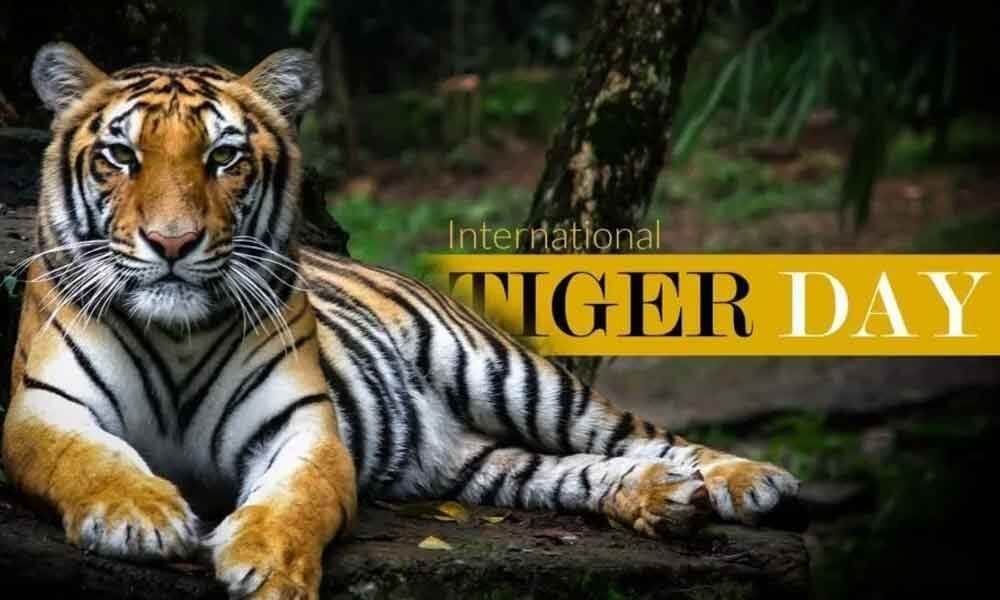 International Tiger Day