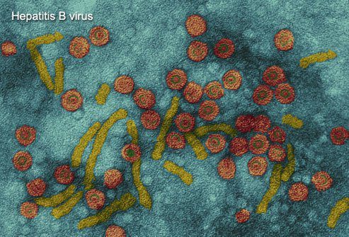 world hepatitis day