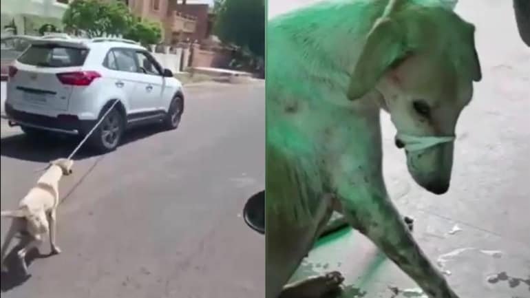 Rajasthan: Dog chained to the car, dragged around the city