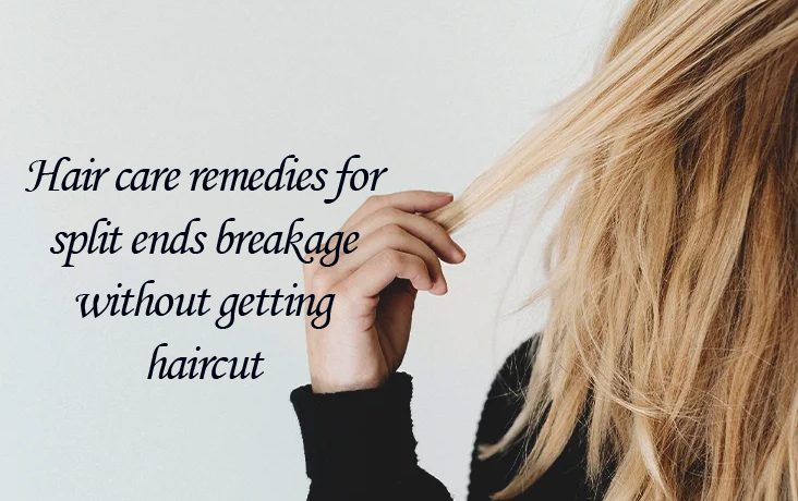 Hair care remedies for split ends breakage without getting haircut