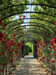 Rose Garden